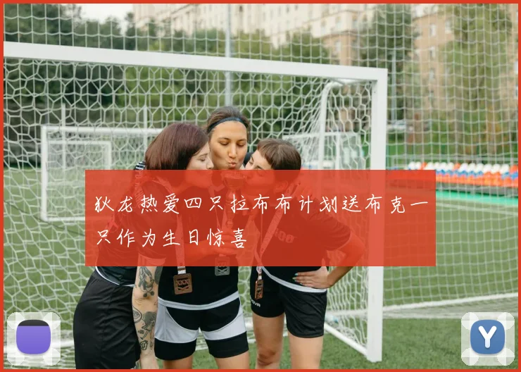狄龙热爱四只拉布布计划送布克一只作为生日惊喜