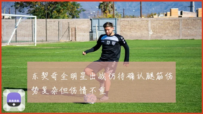 东契奇全明星出战仍待确认腿筋伤势复杂但伤情不重