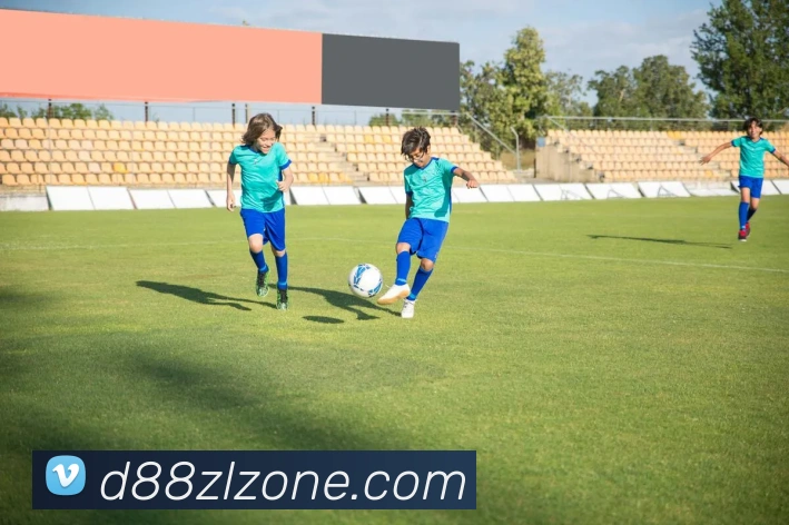 d88尊龙APP 封面图